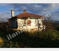 BoğaziçiKörfez Yola Cepheli Karma Meyve Bahçesi BoğaziçiKörfez Yola Cepheli Karma Meyve Bahçesi