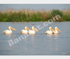 Investment 736ha land for tourism, aquaculture and... Investment 736ha land for tourism, aquaculture and...