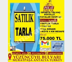 ISPARTA YALVAÇ SÜCÜLLÜ YAYALAR ÖZÜNDE SATILIK 7100... ISPARTA YALVAÇ SÜCÜLLÜ YAYALAR ÖZÜNDE SATILIK 7100...