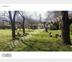 KOCAELİ GAYRİMENKUL'DEN MAŞUKİYE'DE SATILI... KOCAELİ GAYRİMENKUL'DEN MAŞUKİYE'DE SATILI...