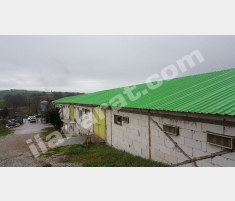 SAKARYA KAYNARCA GÜVEN KÖYÜNDE SATILIK TAVUK ÇİFTL... SAKARYA KAYNARCA GÜVEN KÖYÜNDE SATILIK TAVUK ÇİFTL...