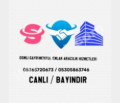satılık ceviz bahçesi satılık ceviz bahçesi