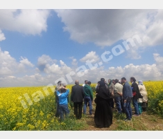 SİLİVRİ DE SATILIK KONUT İMARLI NET ARSA SİLİVRİ DE SATILIK KONUT İMARLI NET ARSA